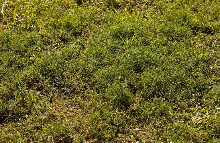 相場より安い土地、その価格には理由がある？購入前に知るべきリスク